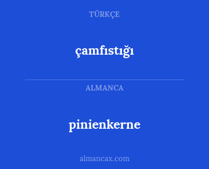 çamfıstığı - pinienkerne