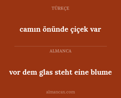 vor dem glas steht eine blume - camın önünde çiçek var