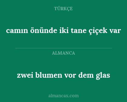 zwei blumen vor dem glas - camın önünde iki tane çiçek var