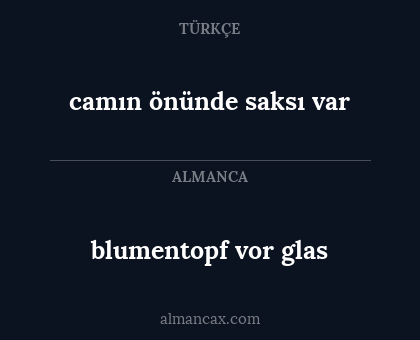 blumentopf vor glas - camın önünde saksı var