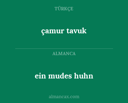 ein mudes huhn - çamur tavuk