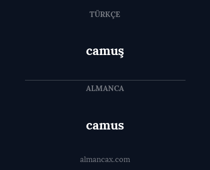 camus - camuş
