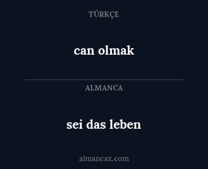 sei das leben - can olmak