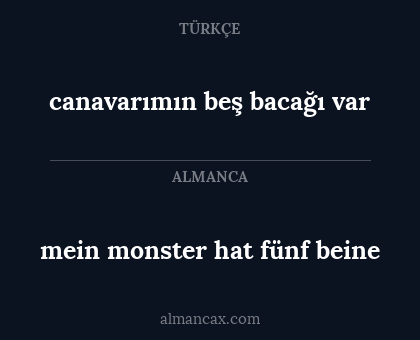 mein monster hat fünf beine - canavarımın beş bacağı var
