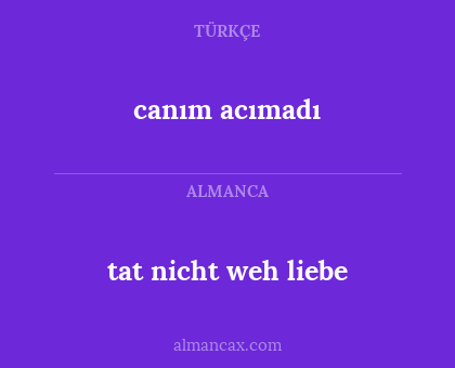 tat nicht weh liebe - canım acımadı