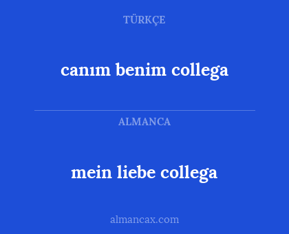 mein liebe collega - canım benim collega