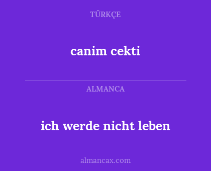 ich werde nicht leben - canim cekti