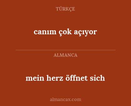 mein herz öffnet sich - canım çok açıyor