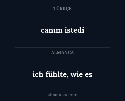 canım istedi - ich fühlte, wie es