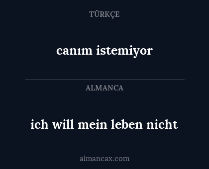 ich will mein leben nicht - canım istemiyor