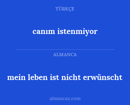 mein leben ist nicht erwünscht - canım istenmiyor