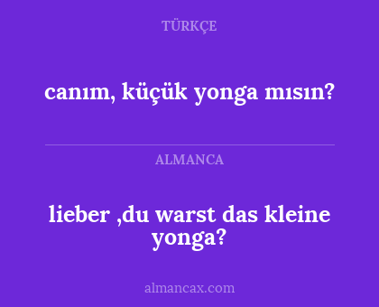 lieber ,du warst das kleine yonga? - canım, küçük yonga mısın?