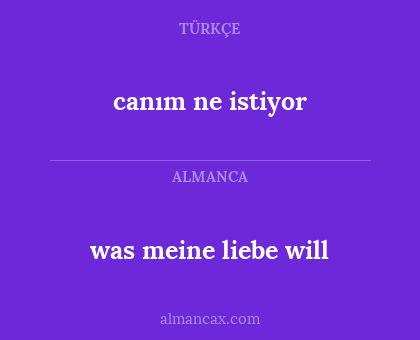 was meine liebe will - canım ne istiyor