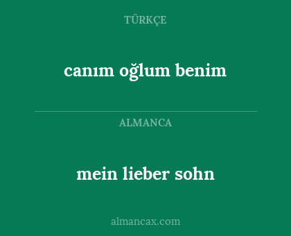 mein lieber sohn - canım oğlum benim