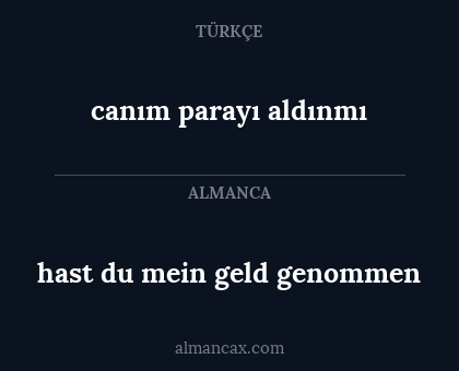hast du mein geld genommen - canım parayı aldınmı