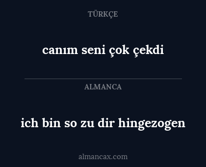 ich bin so zu dir hingezogen - canım seni çok çekdi