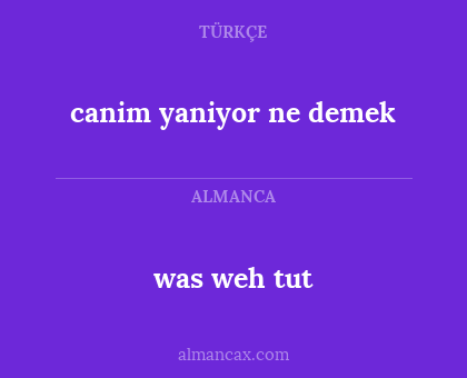was weh tut - canim yaniyor ne demek