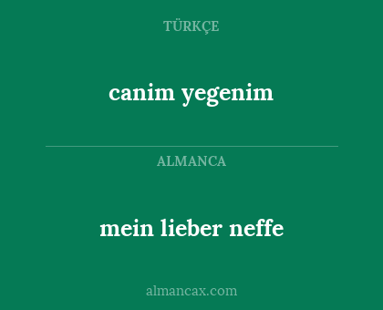 canim yegenim - mein lieber neffe