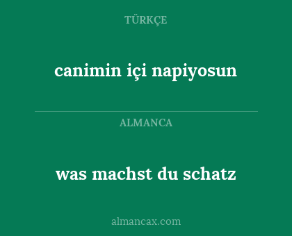canimin içi napiyosun - was machst du schatz