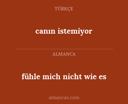 canın istemiyor - fühle mich nicht wie es