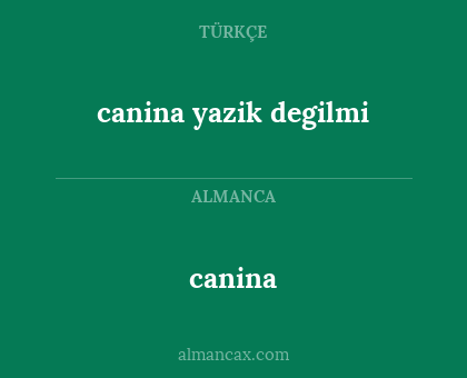 canina yazik degilmi - canina