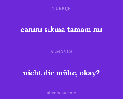 nicht die mühe, okay? - canını sıkma tamam mı