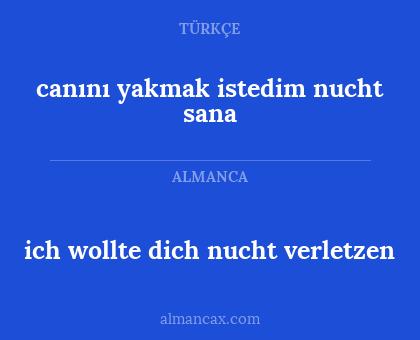 ich wollte dich nucht verletzen - canını yakmak istedim nucht sana