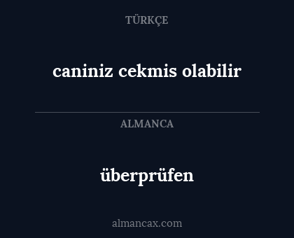 überprüfen - caniniz cekmis olabilir