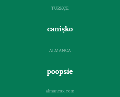 canişko - poopsie