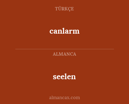 seelen - canlarm