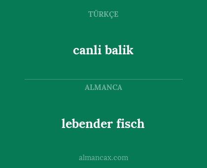 lebender fisch - canli balik