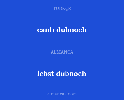 lebst dubnoch - canlı dubnoch