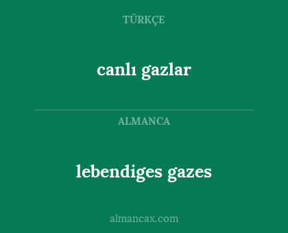 lebendiges gazes - canlı gazlar