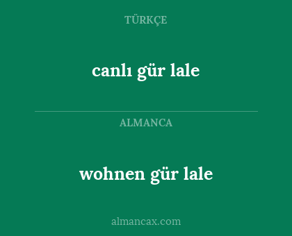 wohnen gür lale - canlı gür lale