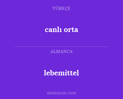 lebemittel - canlı orta