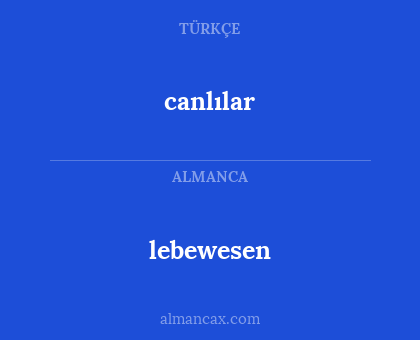 lebewesen - canlılar