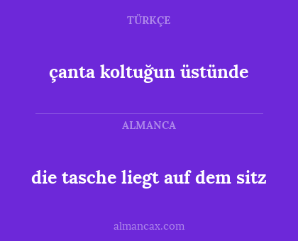 die tasche liegt auf dem sitz - çanta koltuğun üstünde
