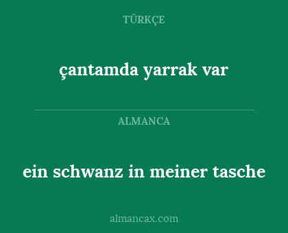 çantamda yarrak var - ein schwanz in meiner tasche