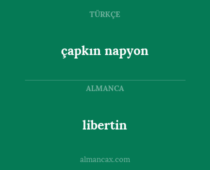 çapkın napyon - libertin