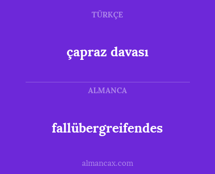 çapraz davası - fallübergreifendes