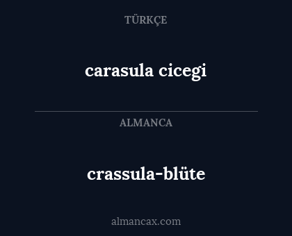 carasula cicegi - crassula-blüte