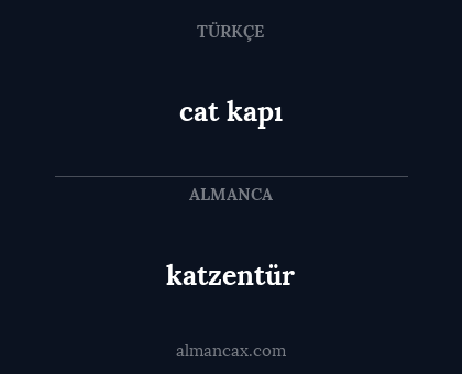cat kapı - katzentür