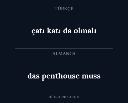 das penthouse muss - çatı katı da olmalı