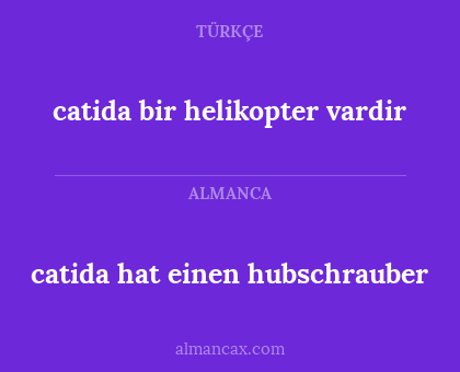 catida hat einen hubschrauber - catida bir helikopter vardir