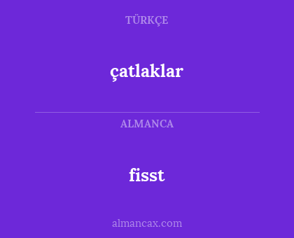 fisst - çatlaklar
