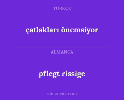 çatlakları önemsiyor - pflegt rissige