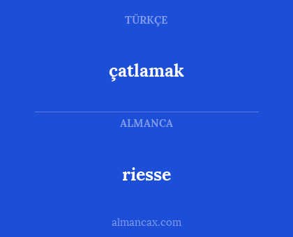riesse - çatlamak