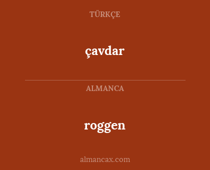 çavdar - roggen