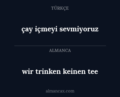 çay içmeyi sevmiyoruz - wir trinken keinen tee