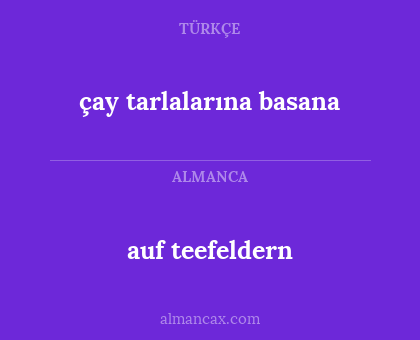 çay tarlalarına basana - auf teefeldern